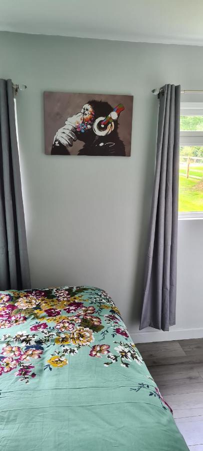 Forget-Me-Not 114 Woodlands Park New Quay Lejlighed New Quay  Eksteriør billede
