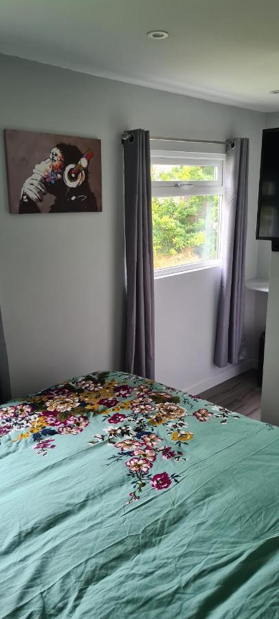 Forget-Me-Not 114 Woodlands Park New Quay Lejlighed New Quay  Eksteriør billede